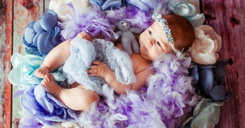 Freepik/freepic.diller